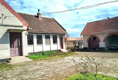 Casă cu 5 camere cu Teren 5000 Mp în Balinț
