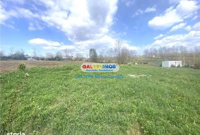 Teren de 8930 mp, în Păulești - 2