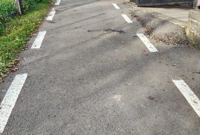 Casă cu 3 camere cu Teren 1538 Mp în Bezdead