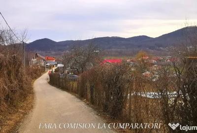 Teren în Vlădesti - 4