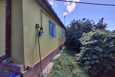 Casă cu 3 camere cu Teren 3300 Mp în Sânger