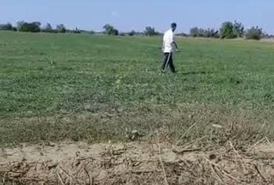 Teren în Periș