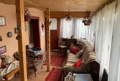 Casă cu 2 camere în Ulieș