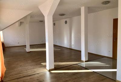 Spațiu comercial, de 43 mp, în Traian - 4