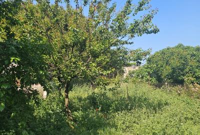 Casă individuală cu 3 camere cu Teren 470 Mp în Viile Noi - 3