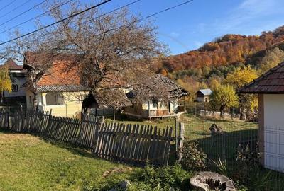 Teren Construcții intravilan de 7500 mp, în Sălătrucu - 6