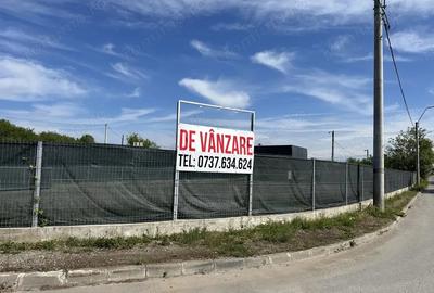 Teren de 800 mp, în Peștișu Mare - 1