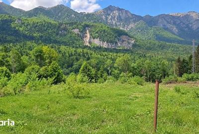 Teren de 1000 mp, în Cumpătu