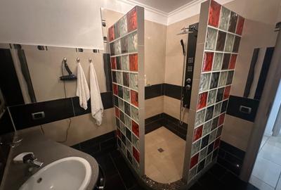 Apartament cu 3 camere semidecomandat în Rosetti - 5