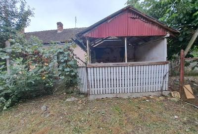 Casă individuală cu 1 camere cu Teren 1967 Mp în Sălard - 3