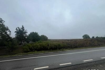 Teren de 10 mp, în Poienari - 2