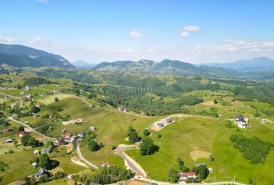 Teren Construcții intravilan de 13000 mp, în Șirnea - 8