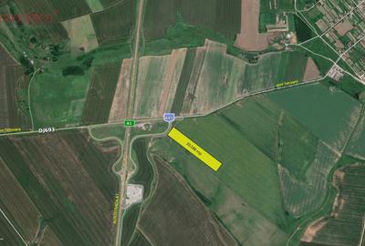 Teren Construcții extravilan de 30588 mp, în Orțișoara - 5