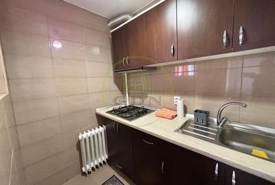 Garsonieră semidecomandată, mobilată în Brazda lui Novac - 3