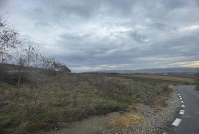 Teren de 2900 mp, în Central - 3