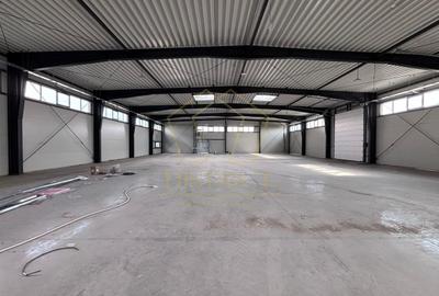 Spațiu industrial, de 1,308 mp, în Sânandrei - 1