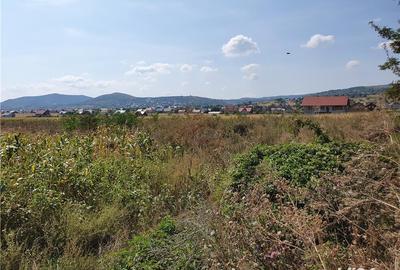Teren de 5800 mp, în Central