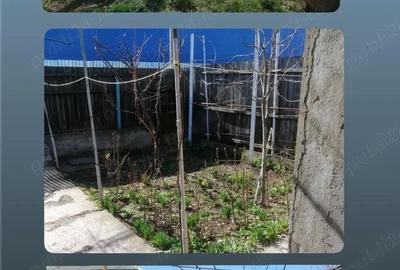 Casă cu 3 camere cu Teren 300 Mp în Progresul - 6