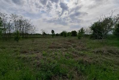 Teren Construcții intravilan de 3500 mp, în Periș - 3