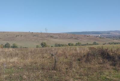 Teren agricol extravilan de 5000 mp, în Apața - 6
