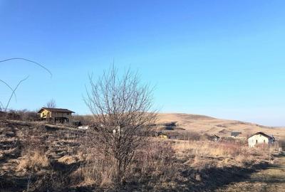 Teren Construcții intravilan de 602 mp, în Borhanci - 9