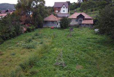 Teren Construcții intravilan de 17000 mp, în Valea Doftanei - 16