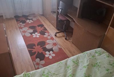 Apartament cu 2 camere semidecomandat în Valea Rosie - 2