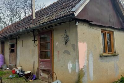 Casă cu 3 camere cu Teren 2672 Mp în Ineu - 8