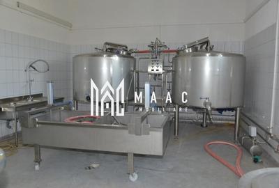 Spațiu industrial, de 2,000 mp, în Țapu - 6