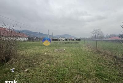 Teren de 1200 mp, în Alexandru cel Bun