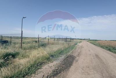 Teren agricol extravilan de 16750 mp, în Cârcea - 15