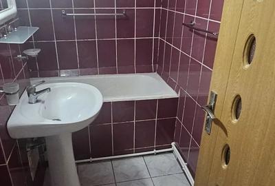 Apartament cu 2 camere semidecomandat în Gojdu - 3
