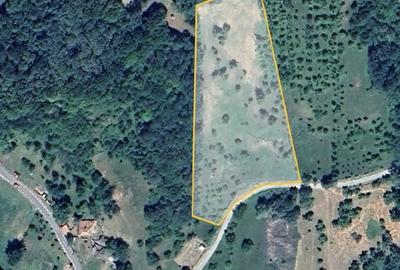 Teren de 7500 mp, în Berislăvești