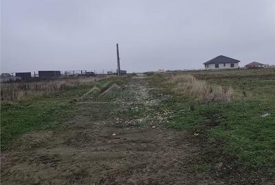 Teren de 1900 mp, în Sânmartin - 5