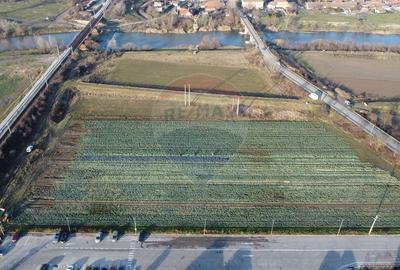 Teren Construcții intravilan de 15938 mp, în Nord - 12