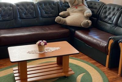 Apartament cu 2 camere decomandat, mobilat în Coiciu - 3