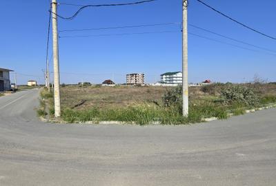 Teren Construcții intravilan de 4200 mp, în Costinești - 1