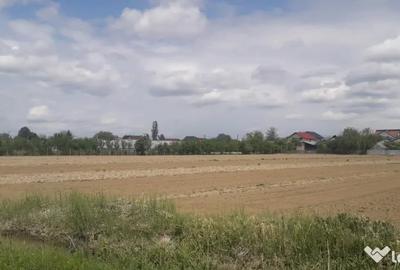Teren de 11418 mp, în Mărăcineni - 1