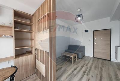 Apartament cu 2 camere semidecomandat, mobilat în Parcul Carol - 2