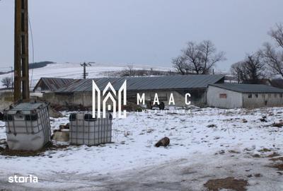 Teren de 8000 mp, în Ucea - 2
