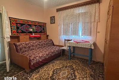 Casă cu 5 camere cu Teren 2380 Mp în Bârsănești