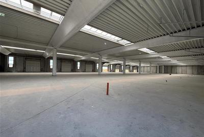 Spațiu industrial, de 3,000 mp, în Central