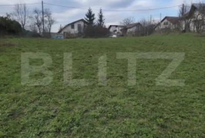 Teren de 3000 mp, în Plopu - 1