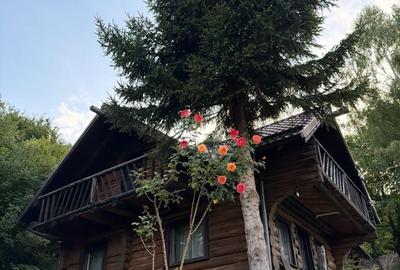 Casă cu 3 camere în Central