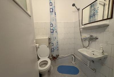 Garsonieră în Alexandru cel Bun - 3