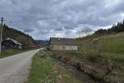 Teren de 9000 mp, în Dorna-Arini - 2