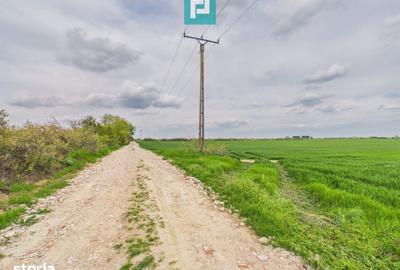 Teren de 19900 mp, în Moșnița Nouă