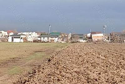 Teren de 300 mp, în Berceni - 6