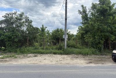 Teren de 5000 mp, în Pârscov - 5