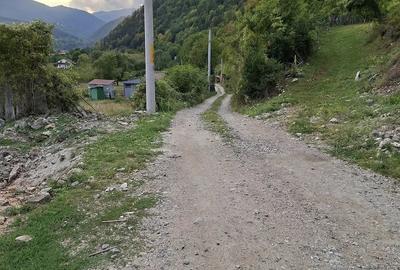 Teren de 1000 mp, în Malaia - 2